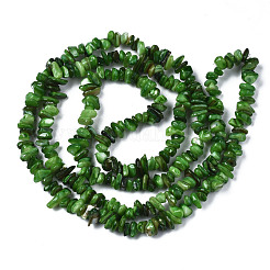 Natural Freshwater Shell Beads Strands&nbsp;SHEL-S278-070E
