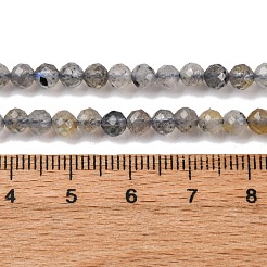 Natural Labradorite Beads Strands&nbsp;LS-G-RM250104-E3