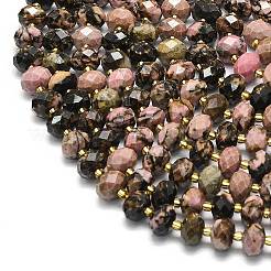 Natural Rhodonite Beads Strands&nbsp;G-P573-A27-01