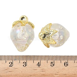 Transparent Acrylic Pendants&nbsp;OACR-I021-02C