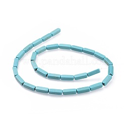 Synthetic Turquoise Beads Strands&nbsp;G-E456-29A-1