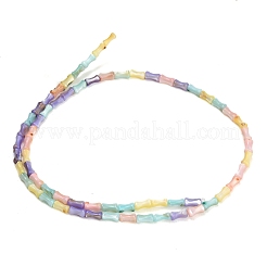 Natural Freshwater Shell Beads Strands&nbsp;SH-CBA93AD-04
