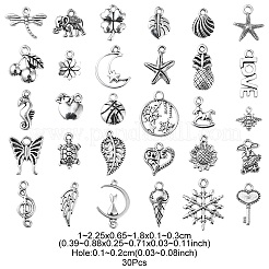 30Pcs 30 Style Tibetan Style Alloy Charms&nbsp;TIBE-YW0001-04