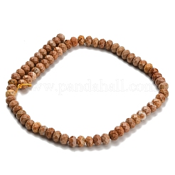 Natural Orange Sesame Jasper Beads Strands&nbsp;G-Z111-A41