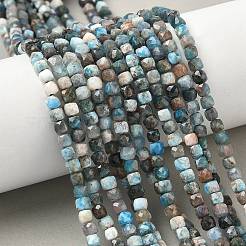 Natural Apatite Beads Strands&nbsp;G-RM250101-L2
