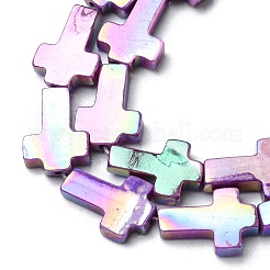 Natural Freshwater Shell Beads Strands&nbsp;SHEL-K006-02C