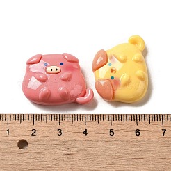 Opaque Resin Decoden Cabochons&nbsp;RESI-B023-04