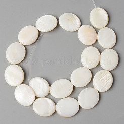 Natural Freshwater Shell Beads Strands&nbsp;SHEL-N026-70