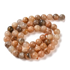 Natural Sunstone Beads Strands&nbsp;G-C268-B05-02