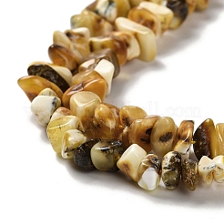 Natural Amber Beads Strands&nbsp;G-L095-N01-02
