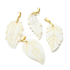 Natural Freshwater Shell Carved Pendants&nbsp;PALLOY-JF05384