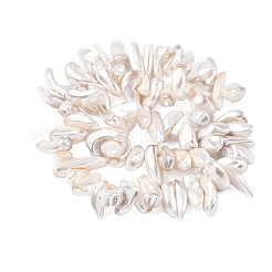 Electroplated Shell Pearl Beads&nbsp;BSHE-D301-01
