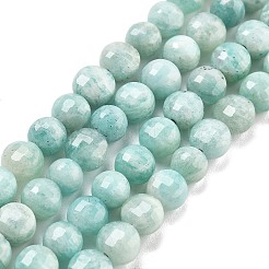 Natural Amazonite Beads Strands&nbsp;G-C179-J01-01