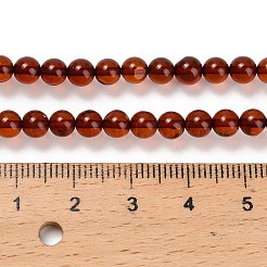 Natural Amber Beads Strands&nbsp;G-Z100-A02-5mm-02