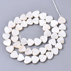 Spray Painted Natural Freshwater Shell Beads Strands&nbsp;SHEL-N026-51B-01