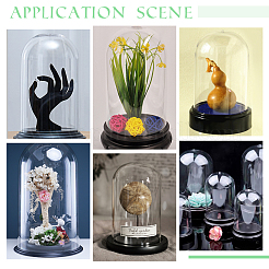 2Pcs Plastic Display Bases with 2Pcs Glass Dome Covers&nbsp;AJEW-PH0004-31