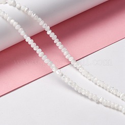 Natural Trochid Shell/Trochus Shell Beads Strands&nbsp;SSHEL-O001-24B-02