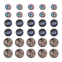30Pcs 3 Styles Natural Paua Shell Beads&nbsp;BSHE-TA0001-36
