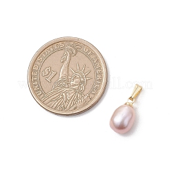 Natural Cultured Freshwater Pearl Potato Charms&nbsp;PALLOY-JF04844