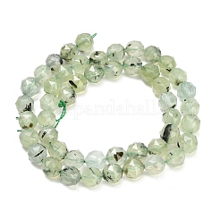 Natural Prehnite Beads Strands&nbsp;GG-CBA3921-B13-8mm
