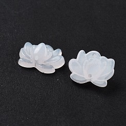 Acrylic Beads&nbsp;OACR-U001-05A