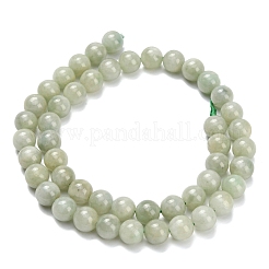 Natural Myanmar Jade/Burmese Jade Beads Strands&nbsp;G-L642-B11-8mm