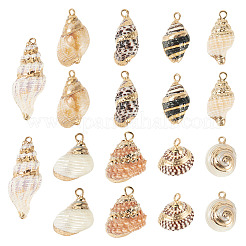 18Pcs 9 Styles Electroplated Natural Shell Pendants&nbsp;BSHE-TA0001-35