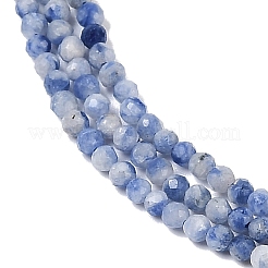 Natural Blue Spot Jasper Beads Strands&nbsp;G-A252-A02-01