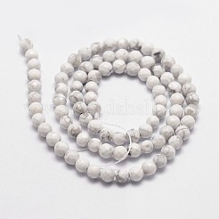Natural Howlite Beads Strands&nbsp;G-G736-25-4mm