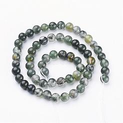 Natural Moss Agate Beads Strands&nbsp;GSR6mmC001
