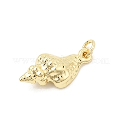 Brass Pendants&nbsp;KK-Z147-07G
