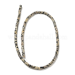 Natural Dalmatian Jasper Beads Strands&nbsp;G-B091-A19-01