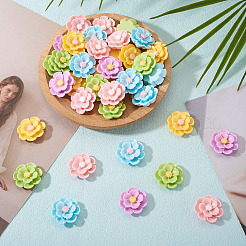 50Pcs 5 Colors 3D Opaque Resin Cabochons&nbsp;RESI-TA0005-02