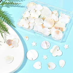 56Pcs 7 Styles Freshwater Shell Pendants&nbsp;SHEL-FS0001-07