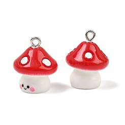 Opaque Resin Pendants&nbsp;RE-CBA0127-05
