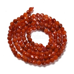 Natural South Red Agate Beads Strands&nbsp;G-Z074-A02-01A