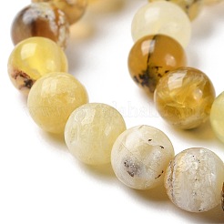 Natural Yellow Opal Beads Strands&nbsp;G-Q1001-A02-01