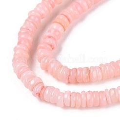 Natural Freshwater Shell Beads Strands&nbsp;SHEL-Q028-01D