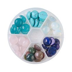 Natural Rose Quartz & Lapis Lazuli & Indian Agate & White Jade & Opalite & Synthetic Turquoise Cabochons&nbsp;G-JP0001-10-12mm
