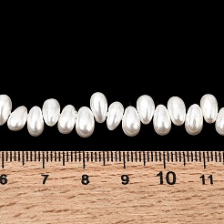 Electroplated Shell Pearl Beads Strands&nbsp;BSHE-B009-A01-5x8mm