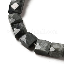 Natural Eagle Eye Stone Beads Strands&nbsp;G-C109-A15-02