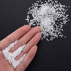 13/0 Glass Seed Beads&nbsp;SEED-T005-14A-A09