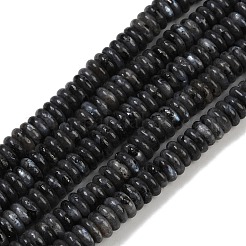 Natural Larvikite Beads Strands&nbsp;G-Q159-B22-01