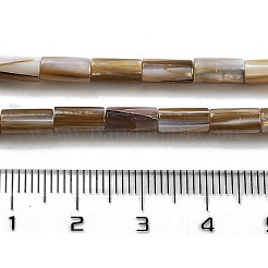 Natural Freshwater Shell Beads Strands&nbsp;BSHE-G038-02