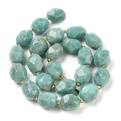 Natural Amazonite Beads Strands&nbsp;G-P541-A01-11