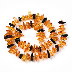 Natural Amber Beads Strands&nbsp;G-T138-237