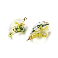 Inner Dried Flower Transparent Resin Pendants&nbsp;RESI-A043-02C