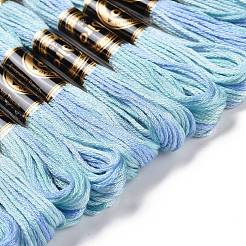 10 Skeins 6-Ply Polyester Embroidery Floss&nbsp;OCOR-K006-A11