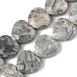 Natural Map Stone Beads Strands&nbsp;G-A309-A17-01