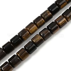 Natural Tiger Eye Beads Strands&nbsp;G-G275-D22-10x10mm